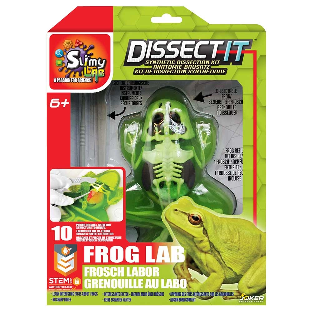 Dissect It In Giftbox Biology - 8 years+ 10 pieces