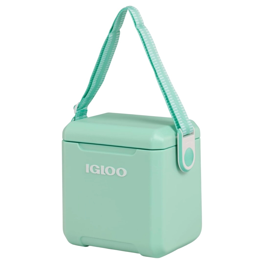 Tag Along Too 00032971