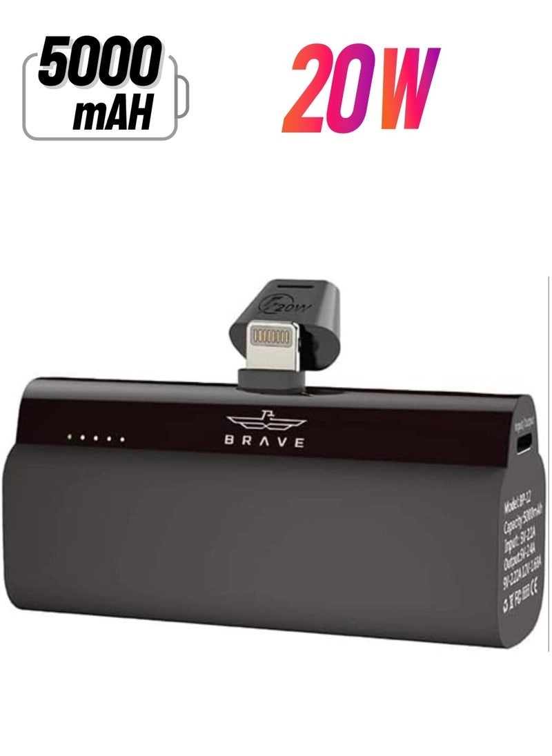 Mini - 5000 Watt-hour 20 Watt