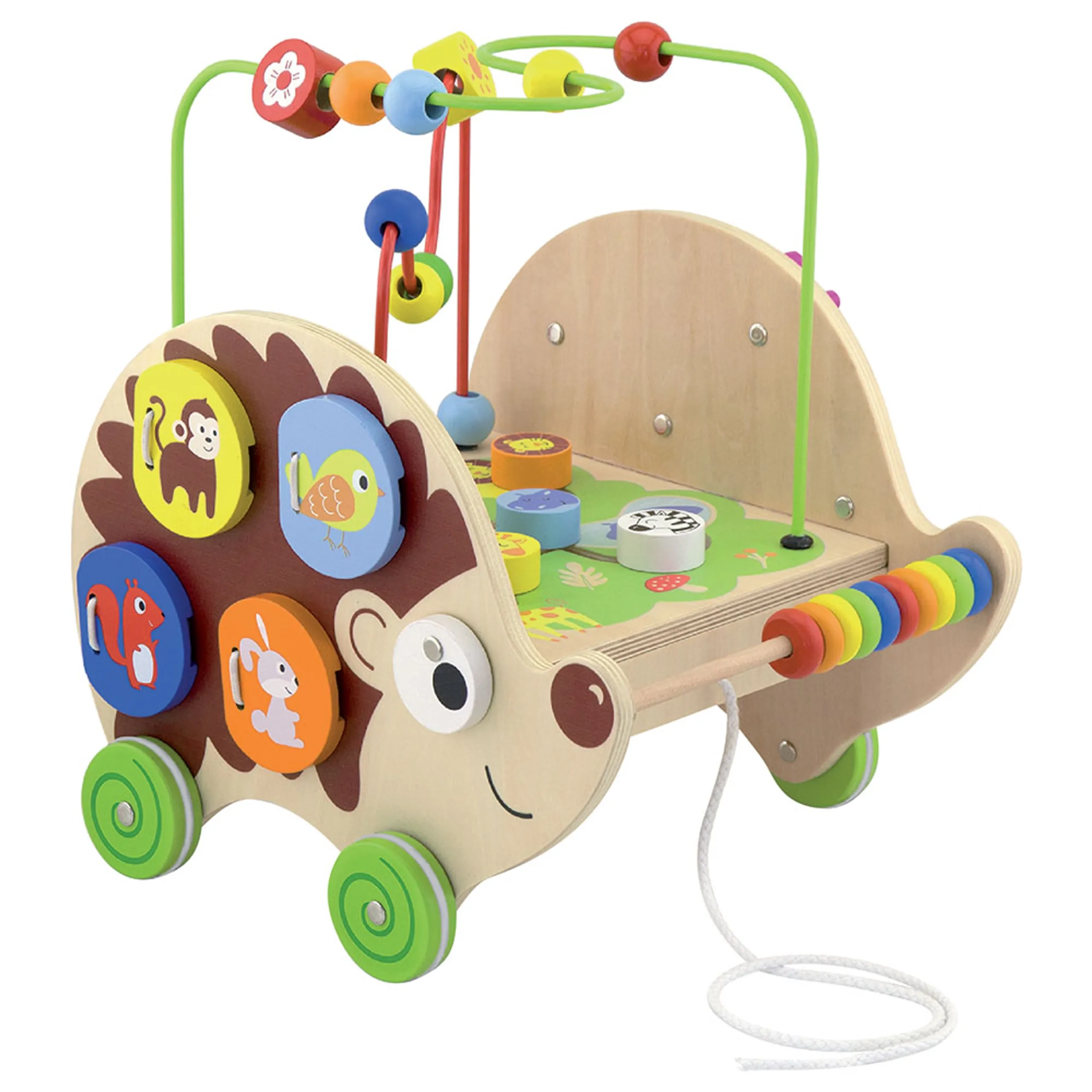5-in-1 Pull-along Activity Hedgehog