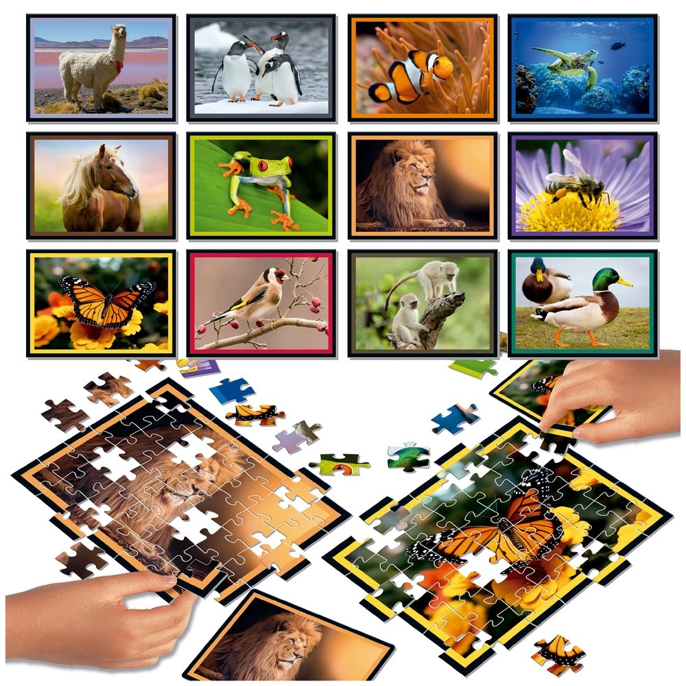 Nature 12-in-1 Puzzle (RTT-20119) - 504 pcs Set