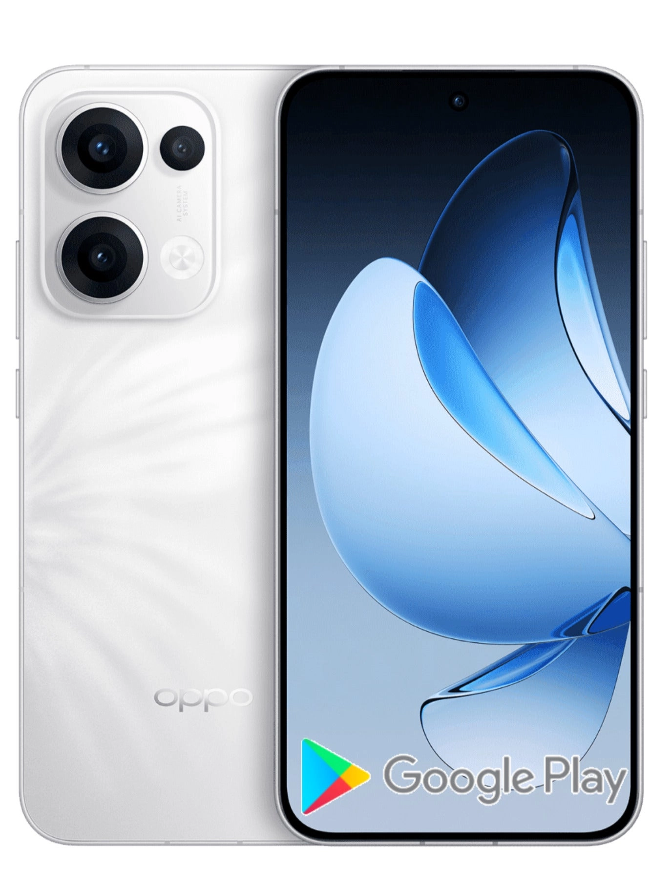 Reno 13 - 16 gigabyte 1000 gigabyte