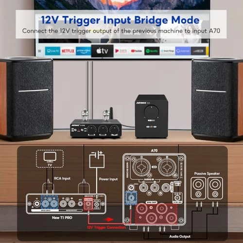 A70 - Class D 2 Channel + DC48V 5A Power Adapter