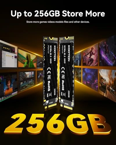 X15 - 256GB M.2 2280