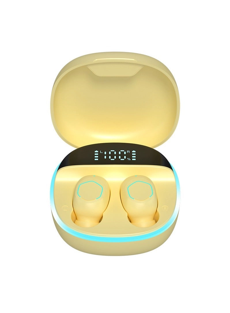 Wireless Bluetooth Earphones