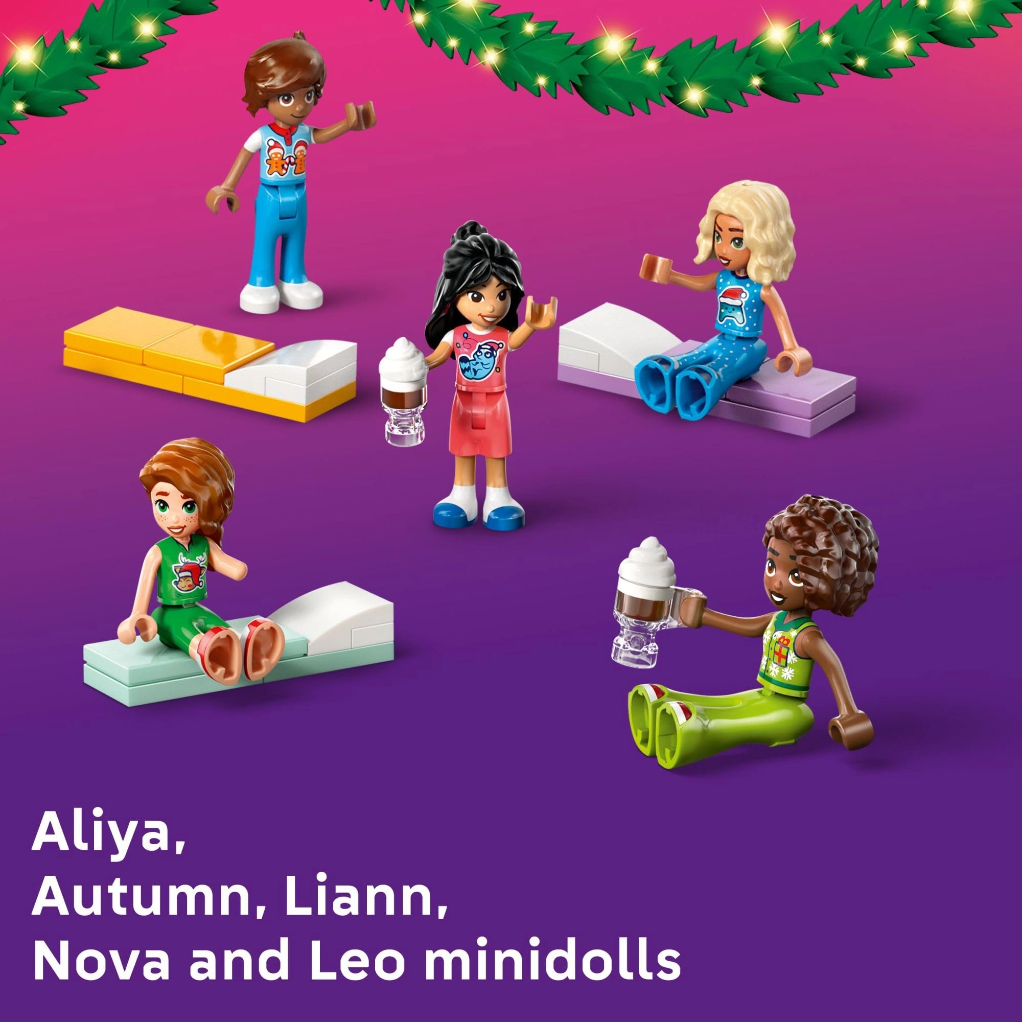 Friends Advent Calendar (42668)