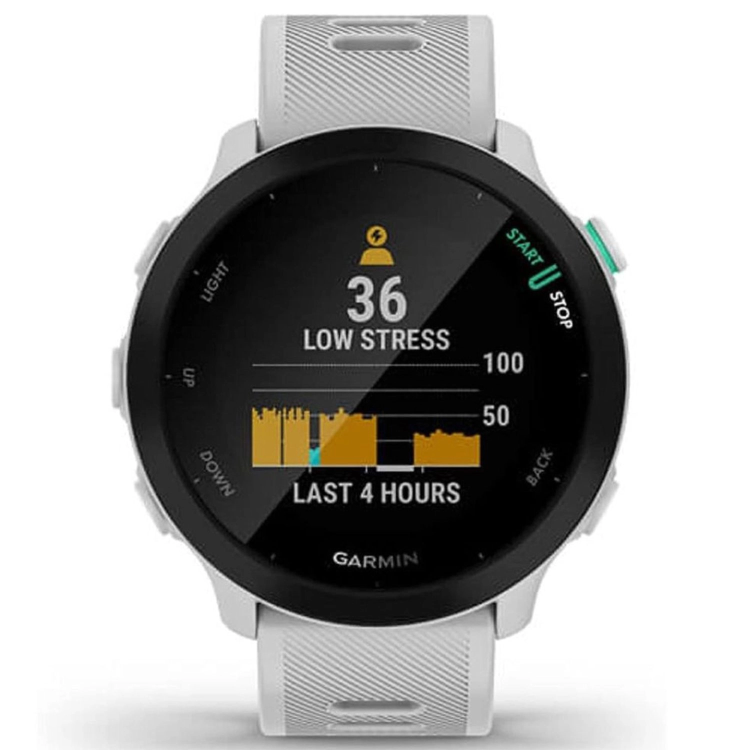 Forerunner 55 42mm Glass GPS