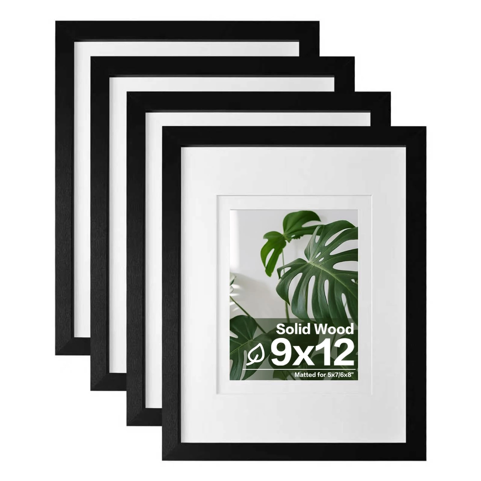 Picture Frames - 9x12