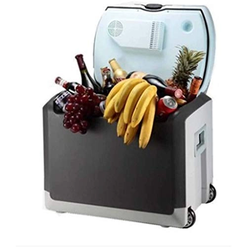 Portable Car Refrigerator - Thermoelectric 12V/220V