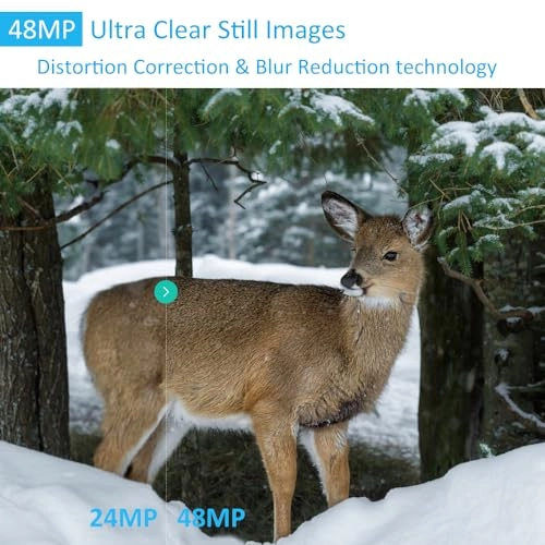 E5S - 32 megapixel