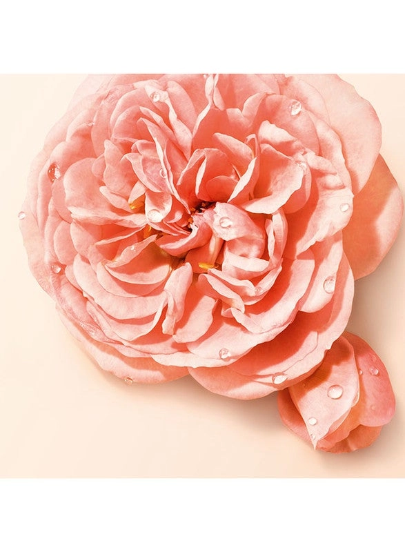SÌ NUDE BLOOM Eau de Parfum 100ml