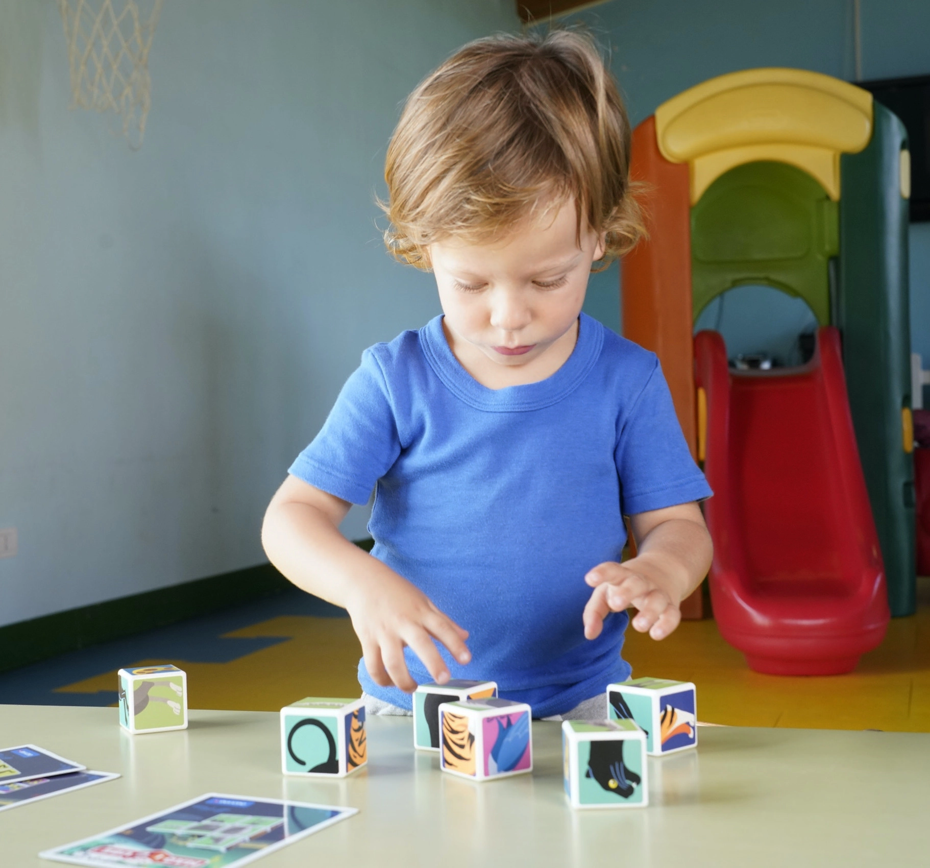 Magicube Jungle Animals - 6 pcs