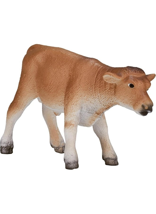 Jersey Calf