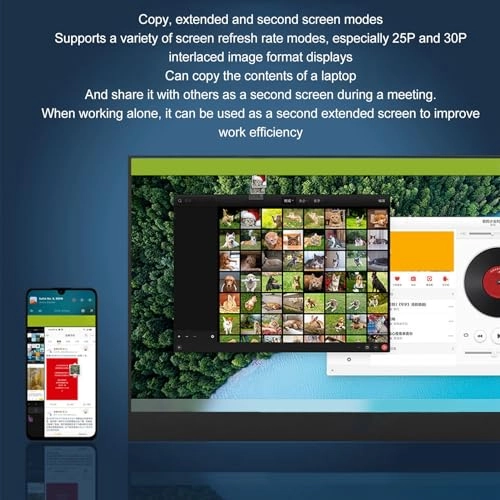 Portable Monitor - HDR 1080P FHD 13.3 Inch