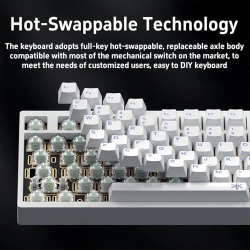 D75 - Wired/Wireless