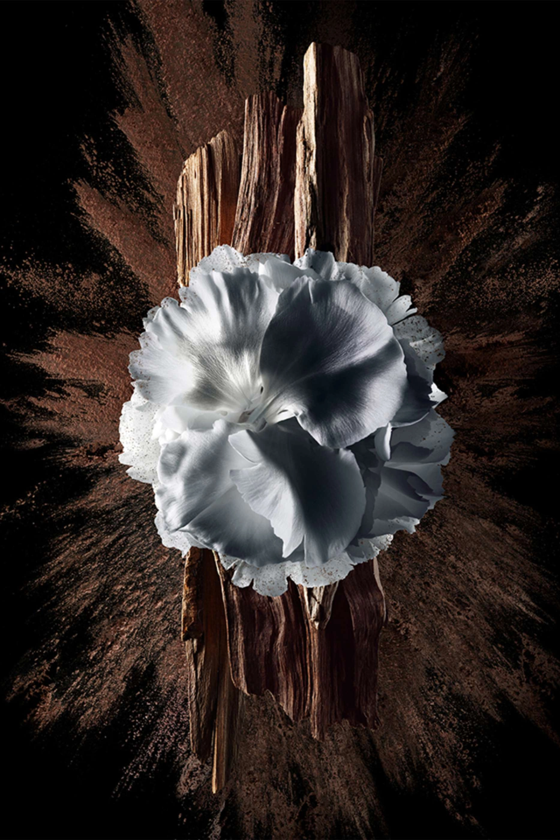 Gentleman Society Extreme Eau de Parfum 60ml