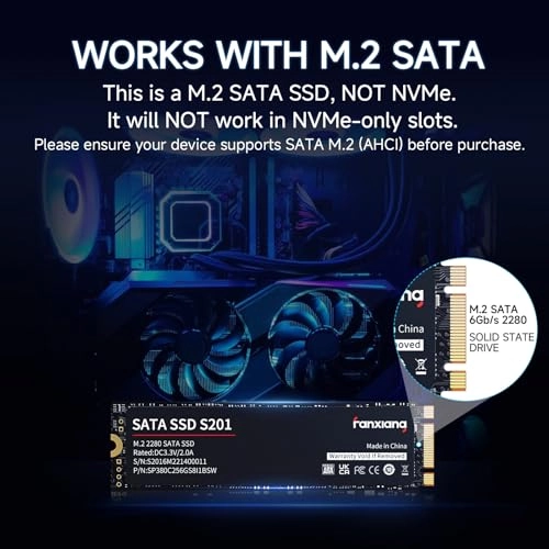 S201 - 256GB M.2 2280