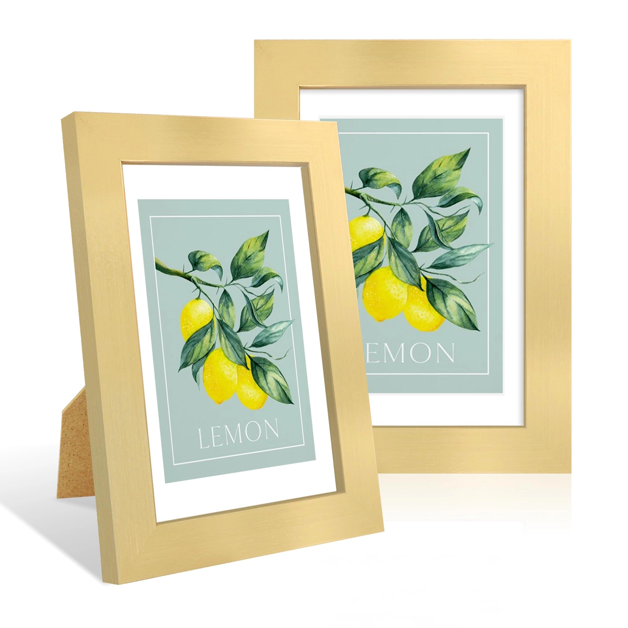 Picture Frame - 4x6 Pack