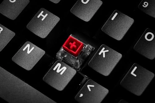 Ice Ring 63 RT - Wired