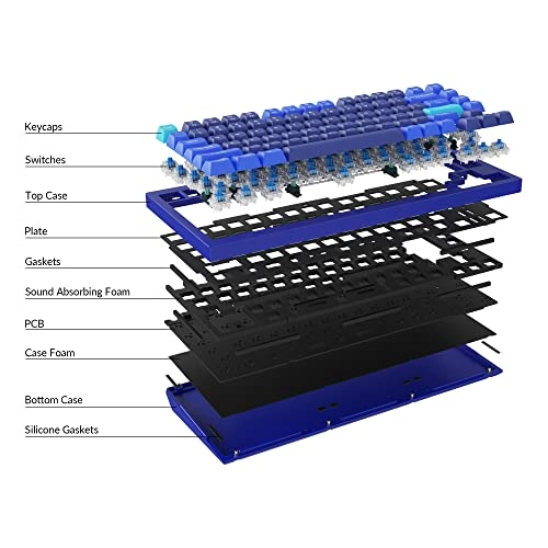 Q1-O2 - Wired/Wireless