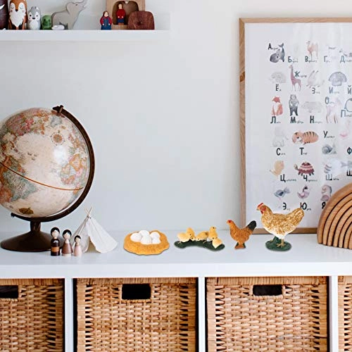 Chick Life Cycle Exploration Set Biology - 4 pieces