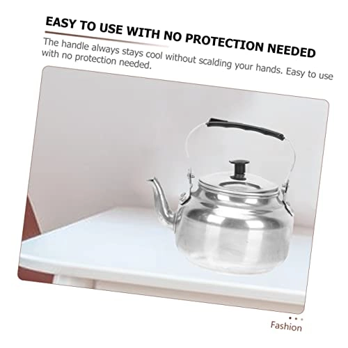 Aluminum Small Teapot - 1 kettle