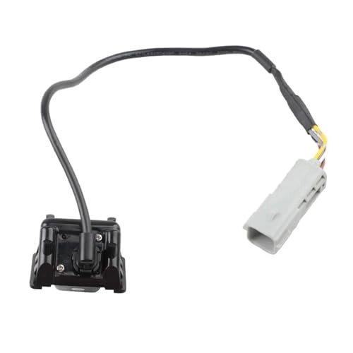 Rear Image Camera Assembly - Wire