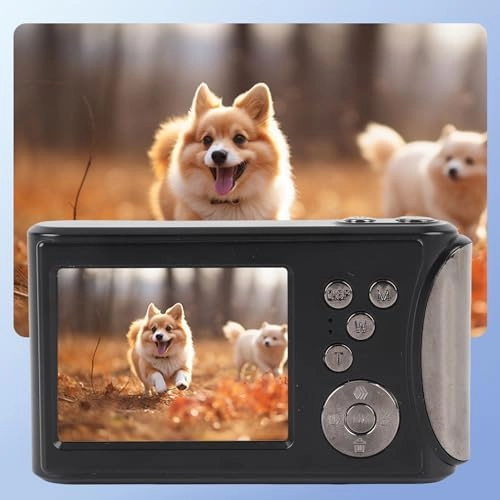 Video Camera p24dm80rzc