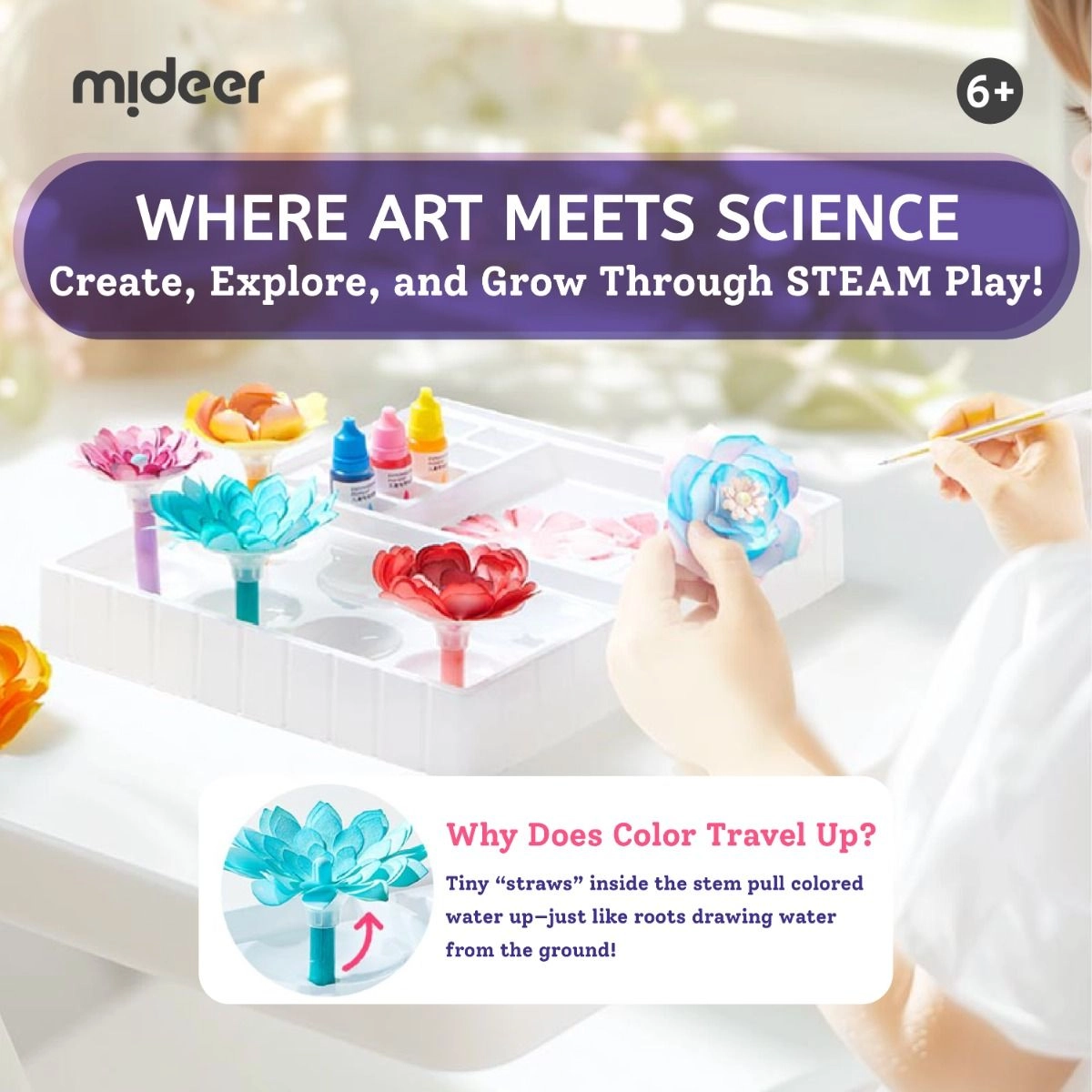 Magic Dyeing Florist DIY Kit - 3+ years 74 pcs