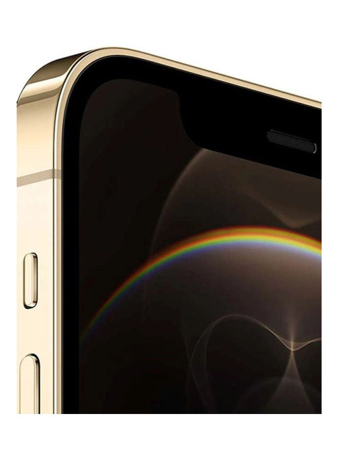 (Renewed) iPhone 12 Pro - 256GB