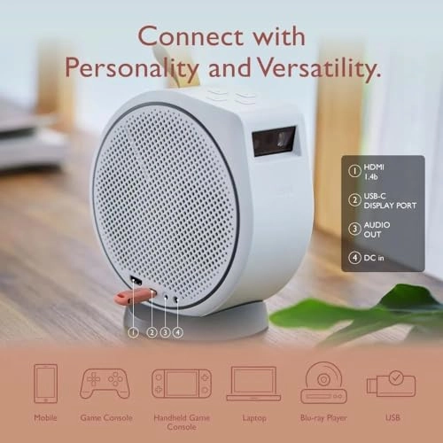 GV31 300 ANSI lumens