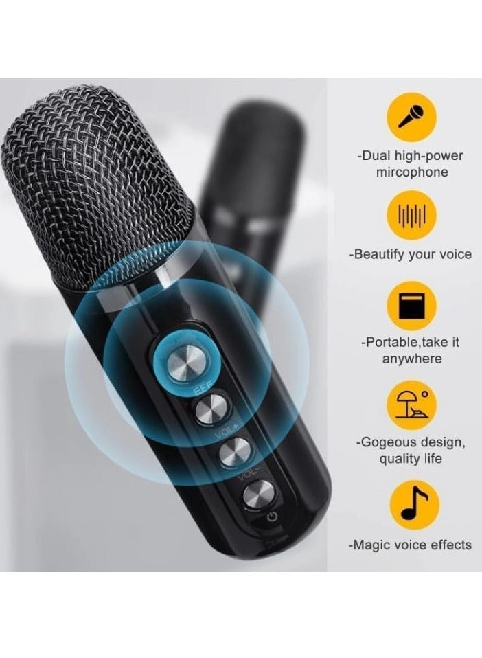 YS-203 - 2 wireless microphones