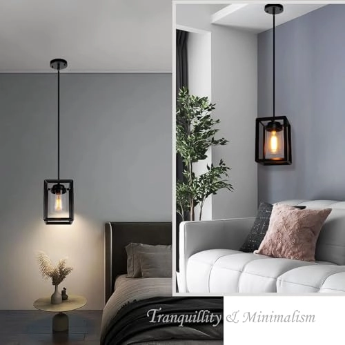 1 Light Pendant Light