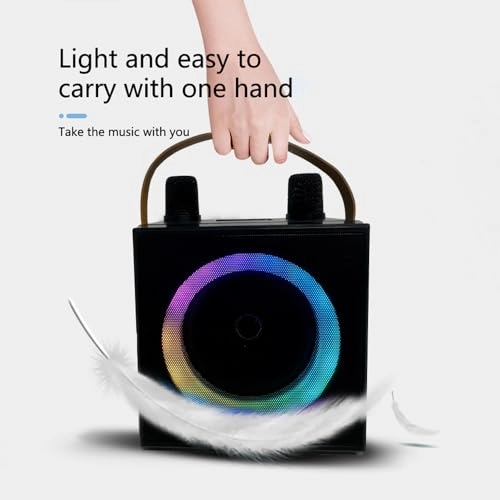 Karaoke Machine - 2 15W