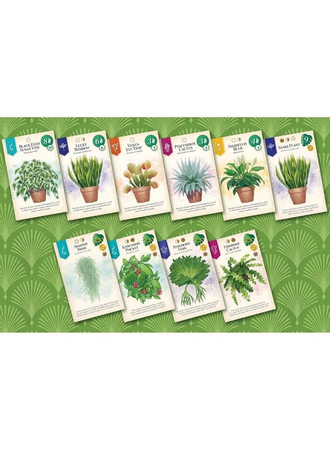 Verdant - Board Game