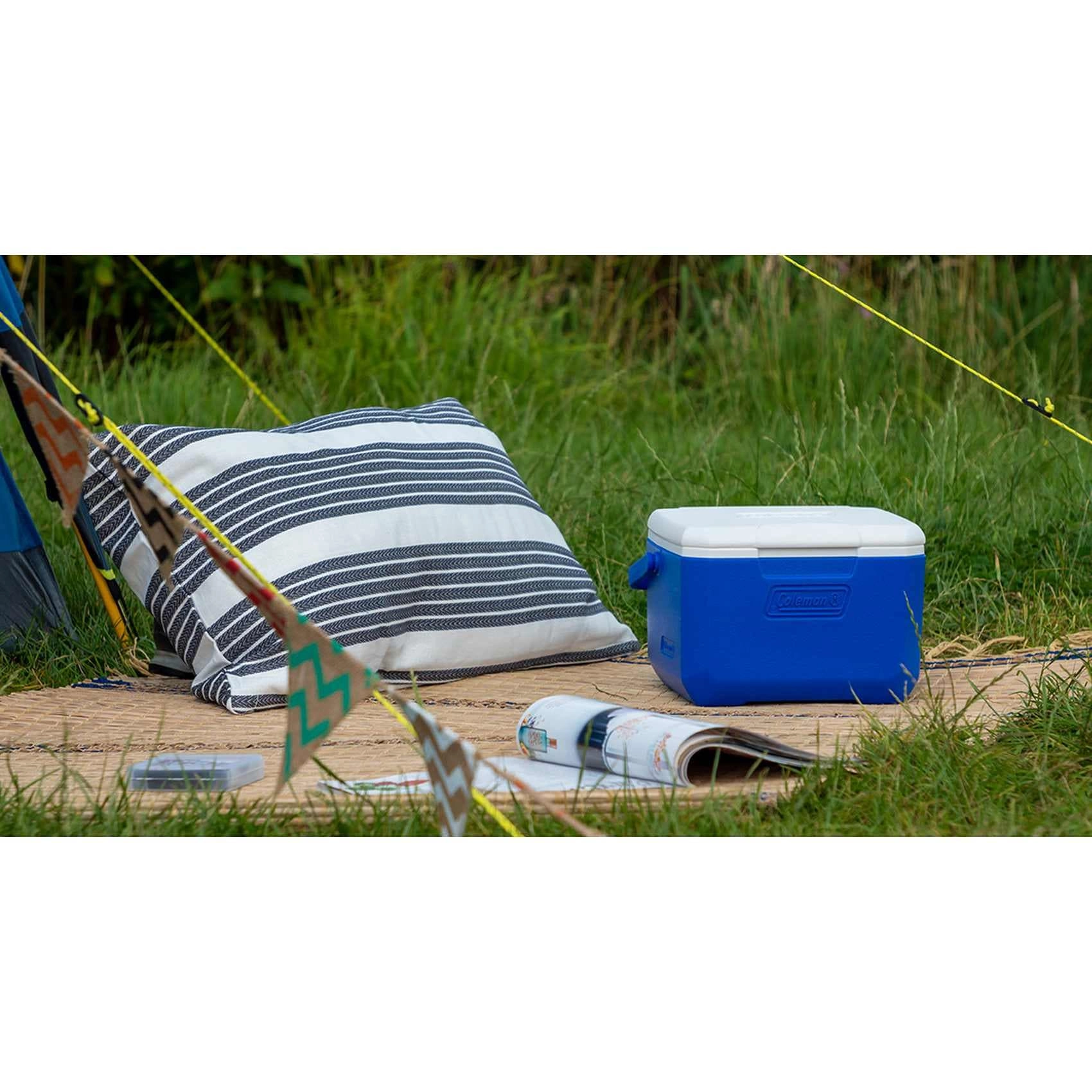 Performance 6 3138522114923