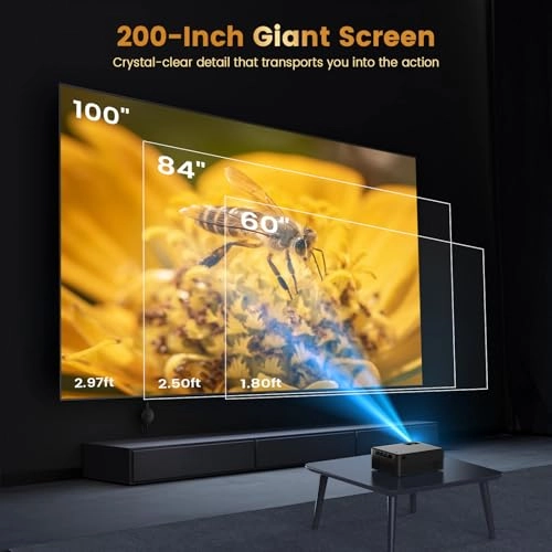 F10 - 250 ANSI lumens 1920 x 1080 pixels