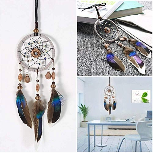 Dreamcatcher - Siderosphere, feathers, lines, wood beads.