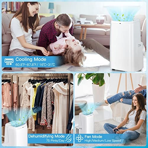 Portable Air Conditioner - 1099 watts