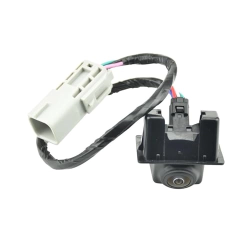 Backup Camera - Night Vision