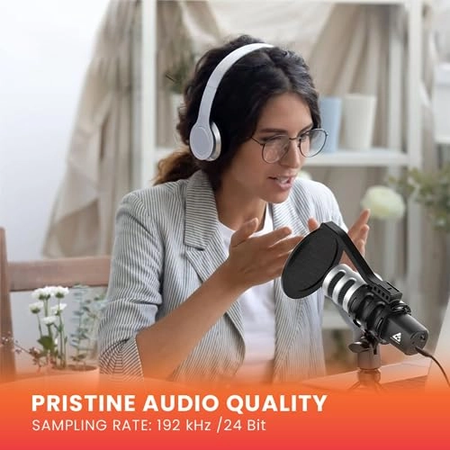 AM-C4 3.5mm-Mini-Jack+USB Microphone