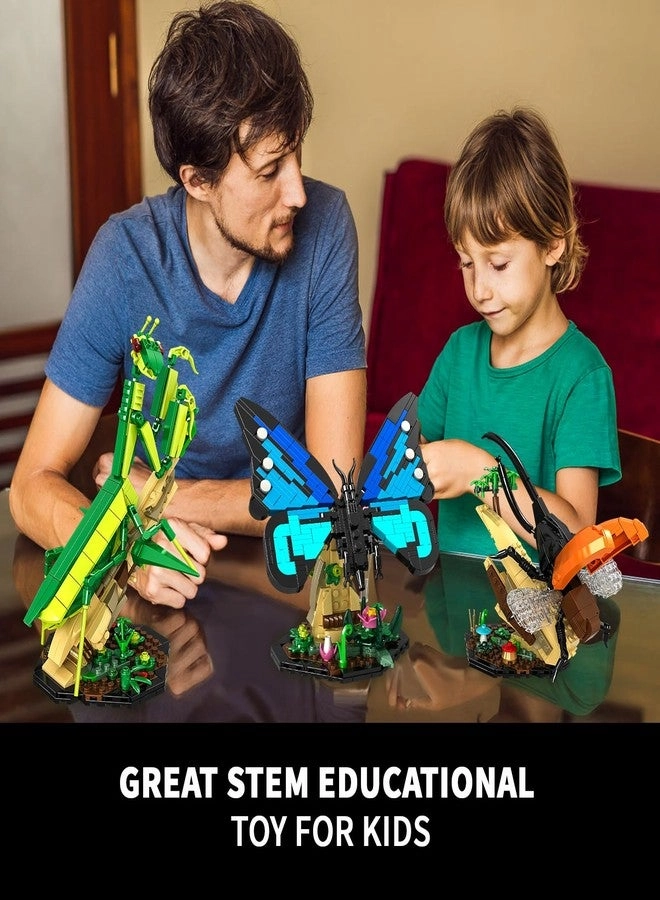 Insect Collection Building Toy Set - 6 years+