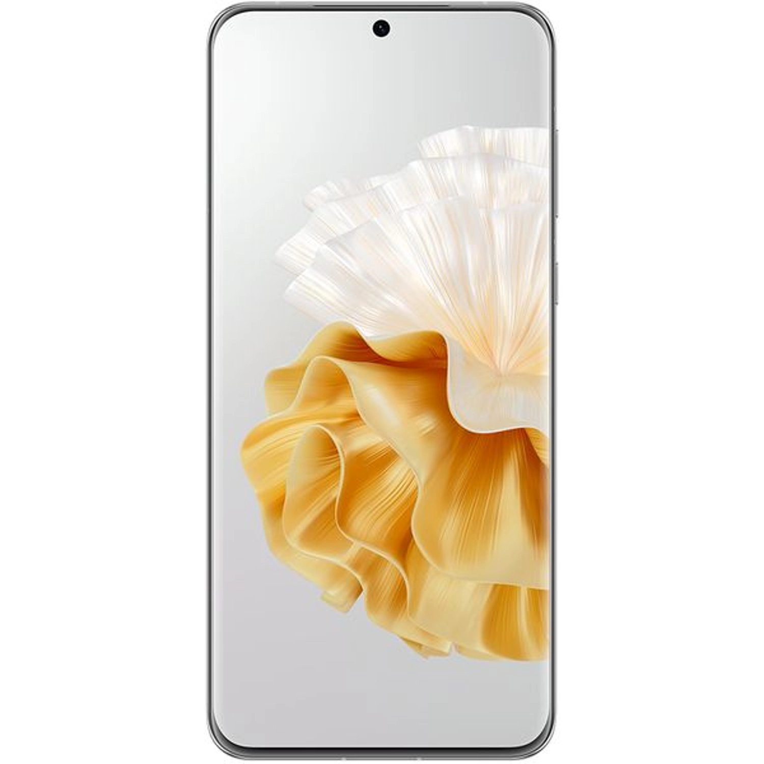 P60 Pro - 12GB 512GB