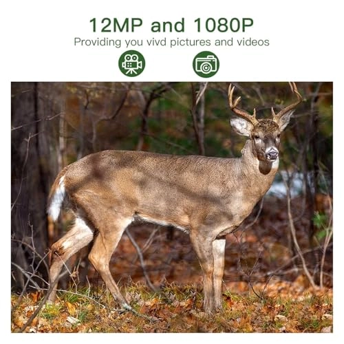 Hunting Camera - 12MP