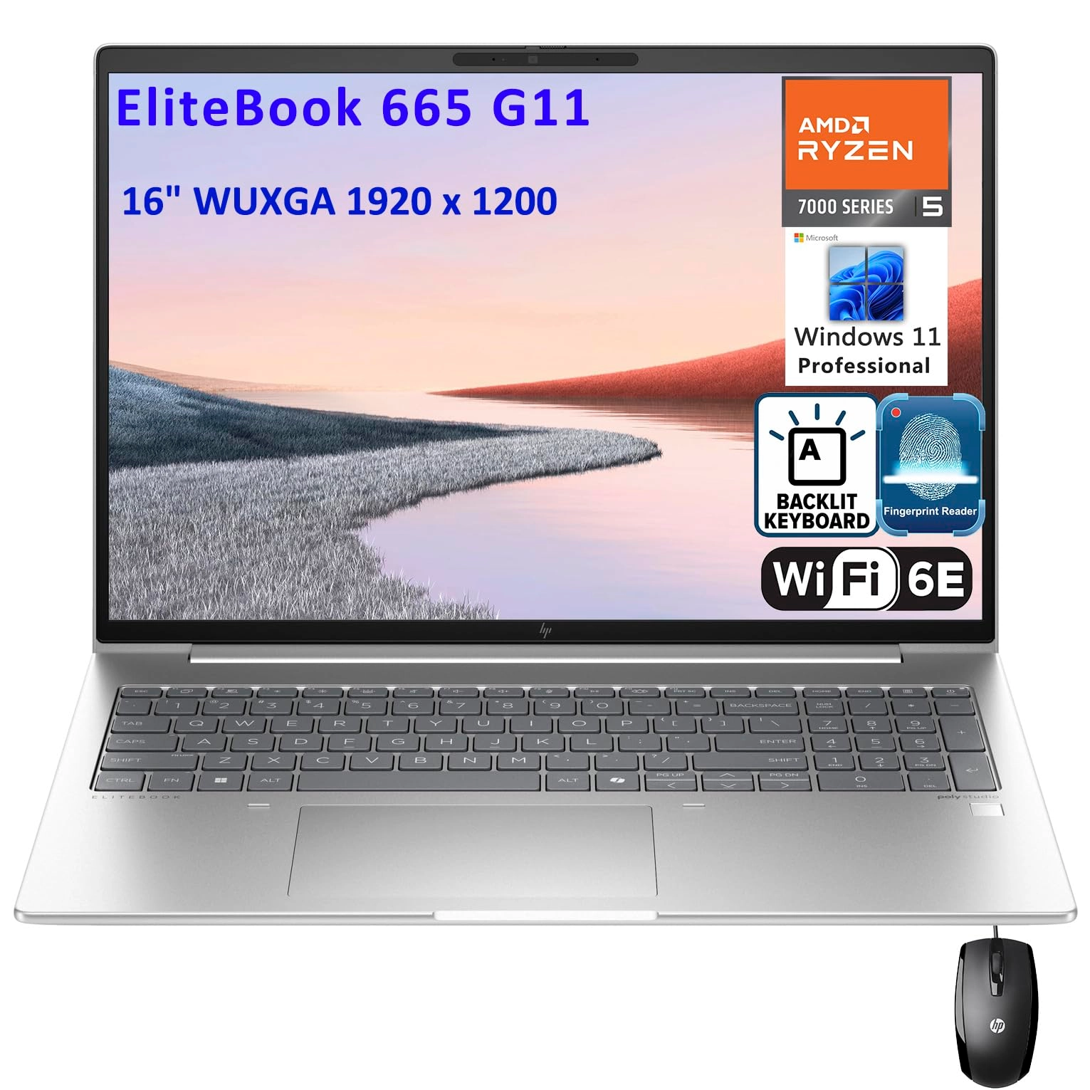 Elitebook 665 G11 - 16'' Ryzen 5-7535U 16GB DDR5 512GB SSD