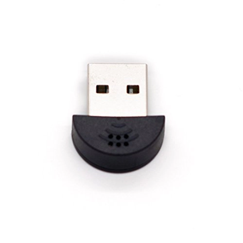 Mini USB Microphone