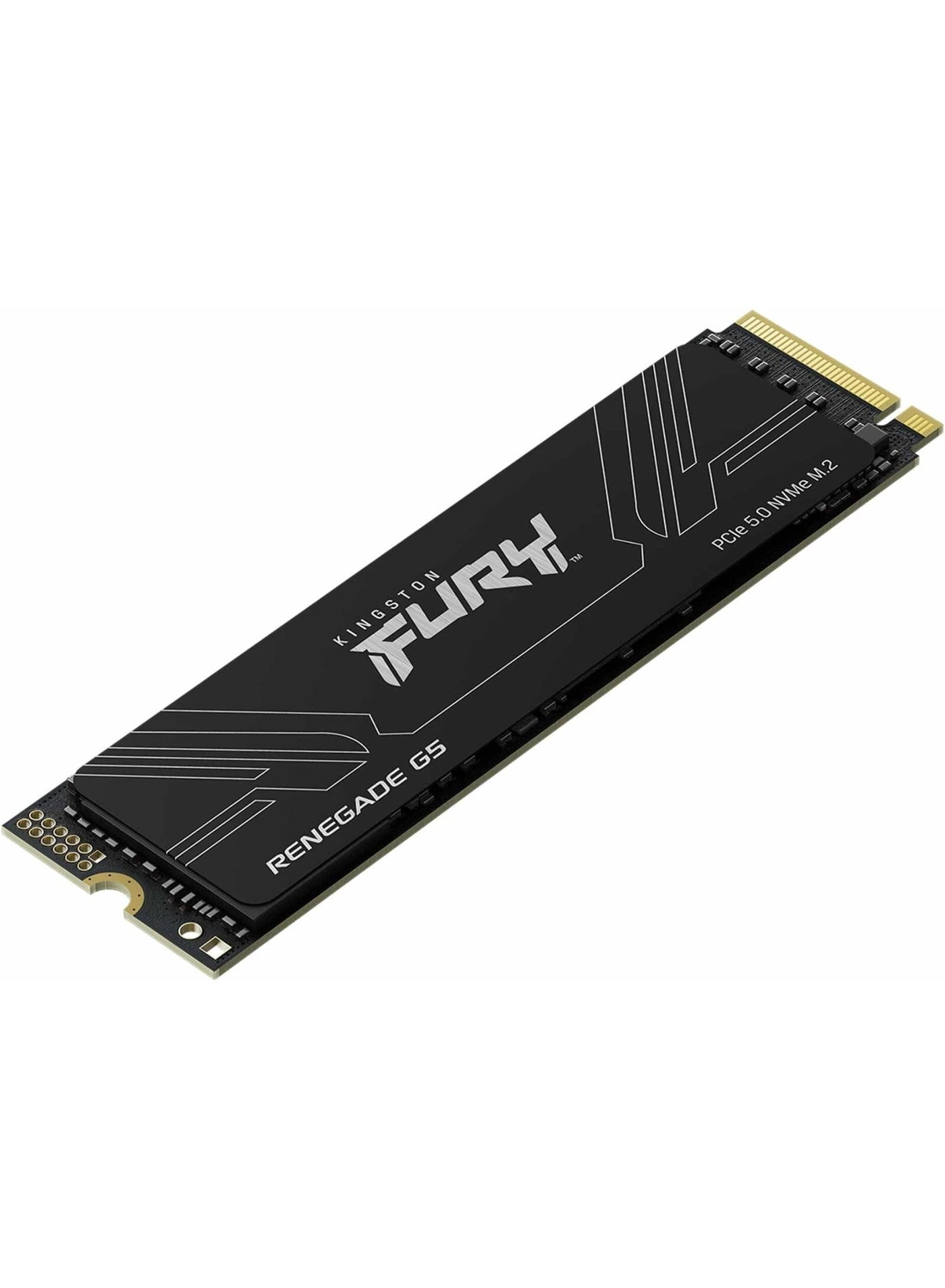 Fury Renegade G5 - 1 TB M.2