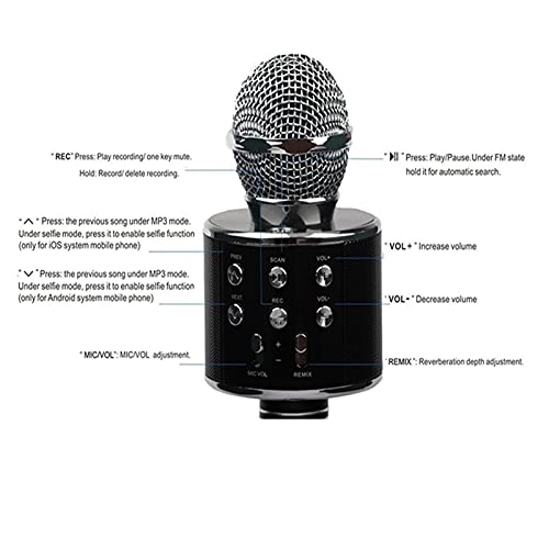 WS 858 Wireless+USB Microphone