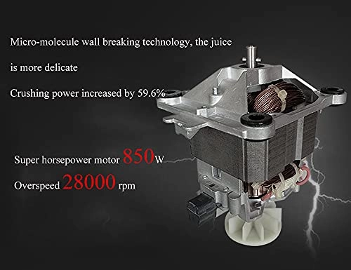 Commercial Smoothie Machine - 850W