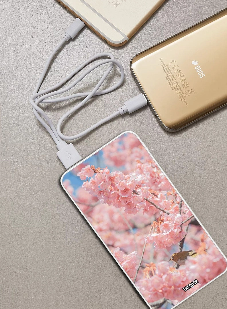 EX_PPBA441 - 10000mAh 18W